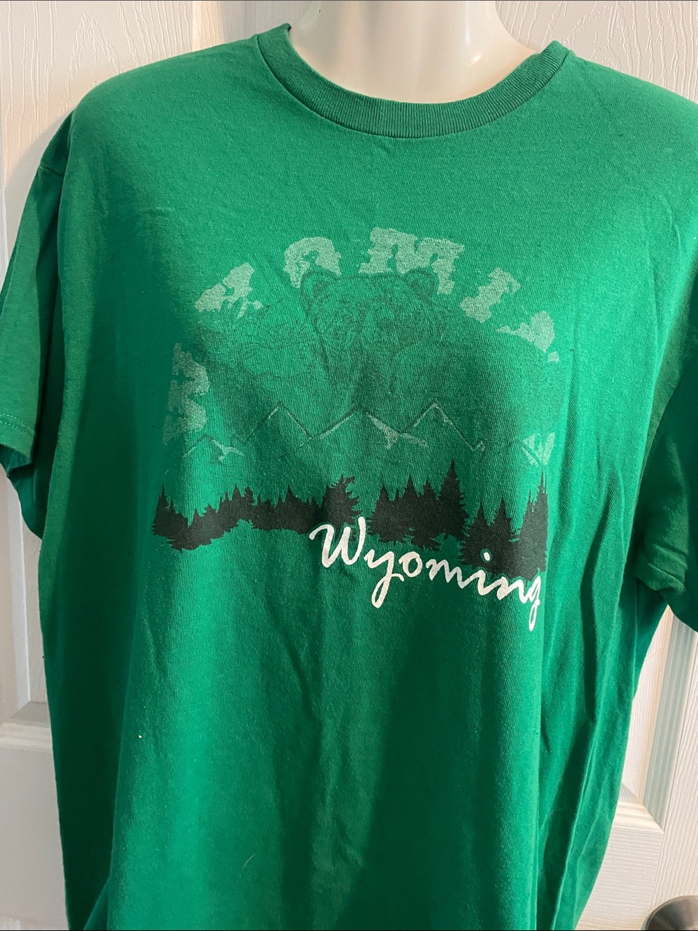 Wyoming Green Graphic Tee - Adult Casual Shirt